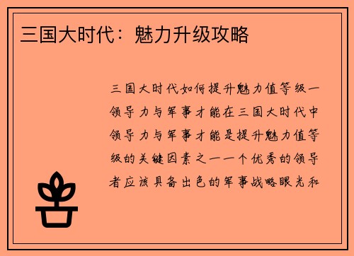 三国大时代：魅力升级攻略